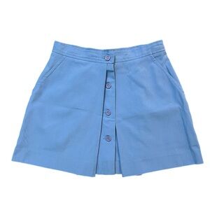 Vintage 1970s Seedtop Light Blue Mini Skirt Button-Front, A-Line, Made in USA